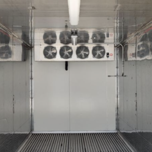 Single-Phase 20ft Refurbished Refrigerated Container Low Temp for sale